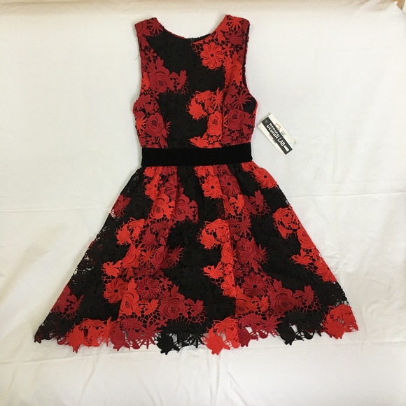 Design Lab Lord & Taylor Dresses | Design Lab Gorgeous Lace Dress | Color: Red | Size: S | Akarenra's Closet